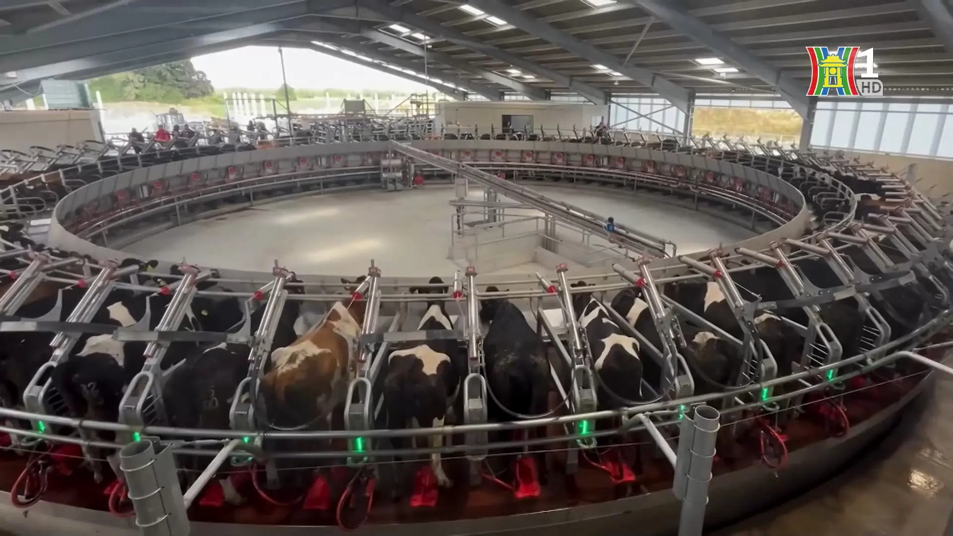 EU thúc đẩy sữa sang Việt Nam nhờ EVFTA | Thủ đô và thế giới | 15/11/2025